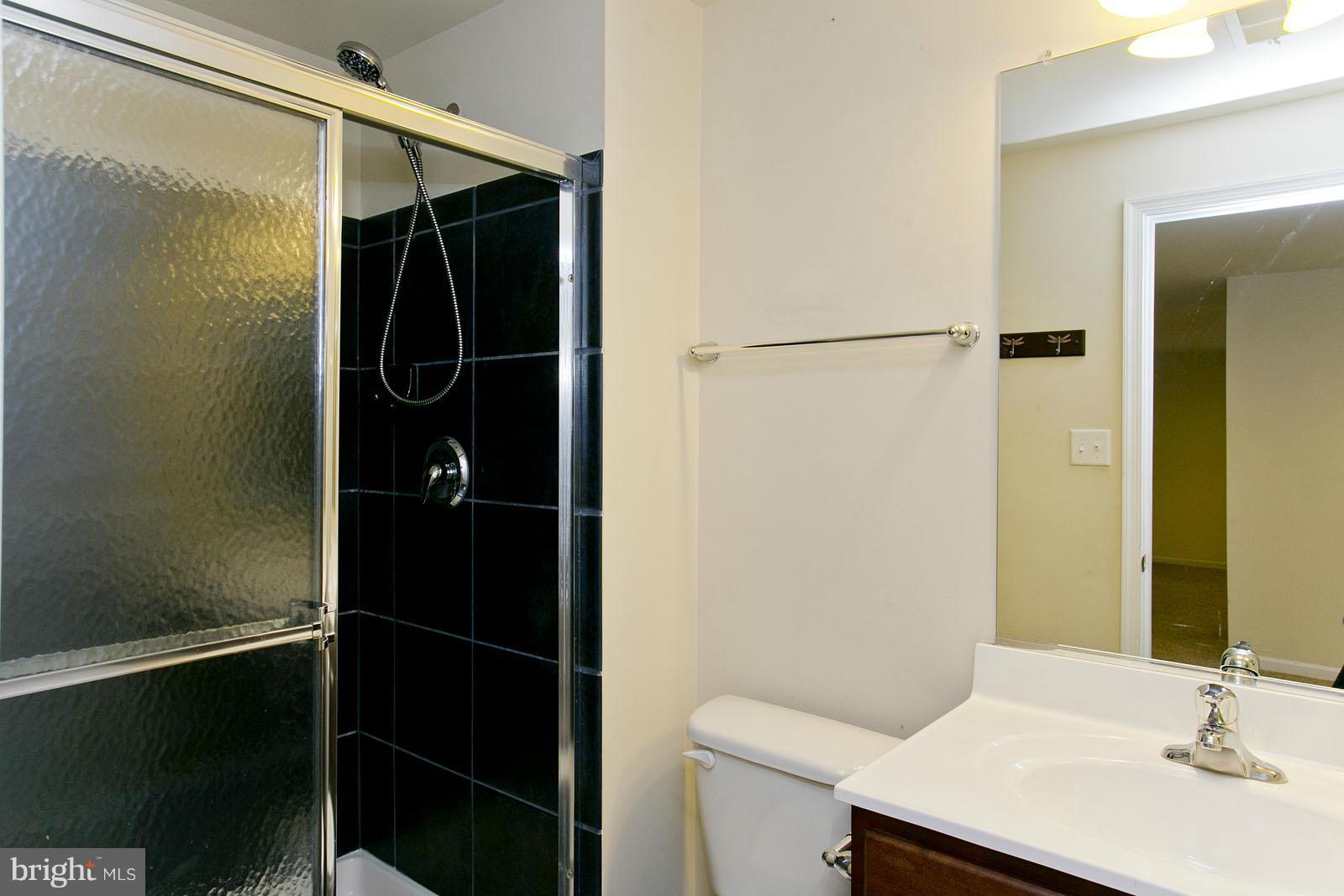 195 Rippling Waters Way Falling Waters, WV 25419 - Photo 29 of 30 LARGE SHOWER IN BASEMENT