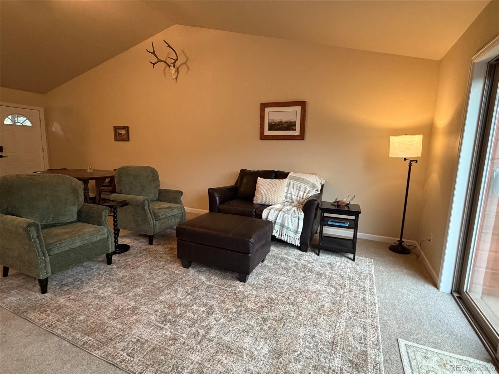 303 Virginia Road, Unit E Bailey, CO 80421 - Photo 14 of 27
