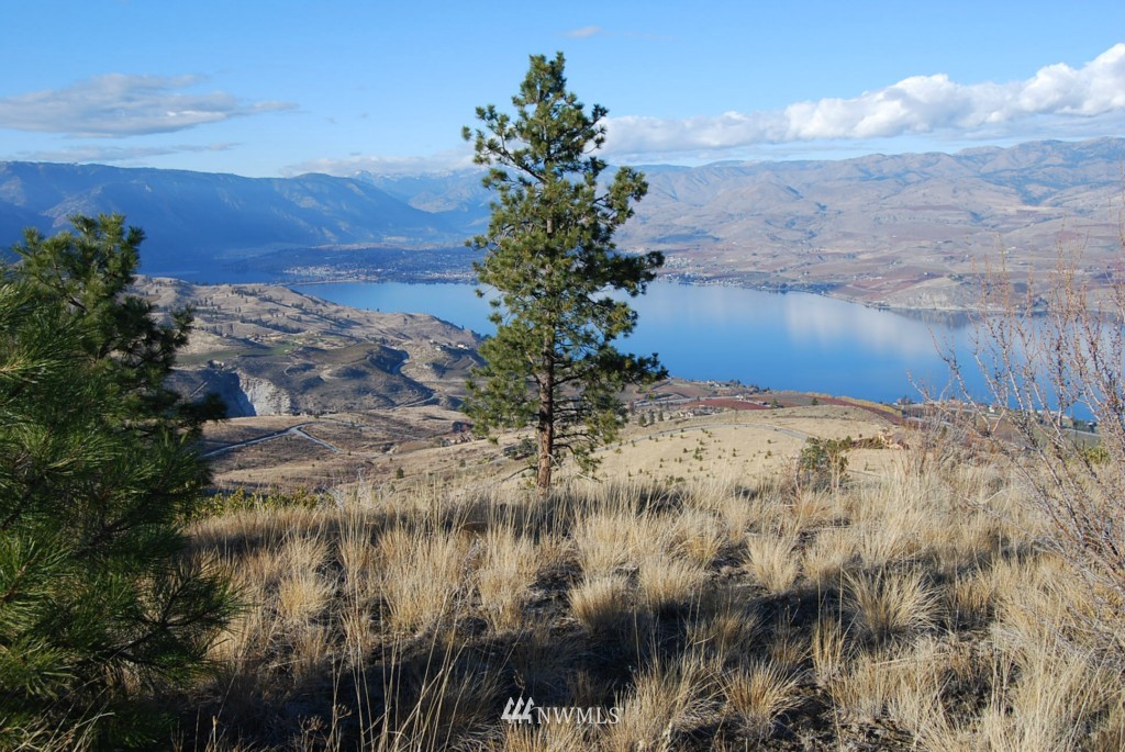 278 Hawks Ridge Road Chelan, WA 98816 - Photo 1 of 9 Gallery Image 1