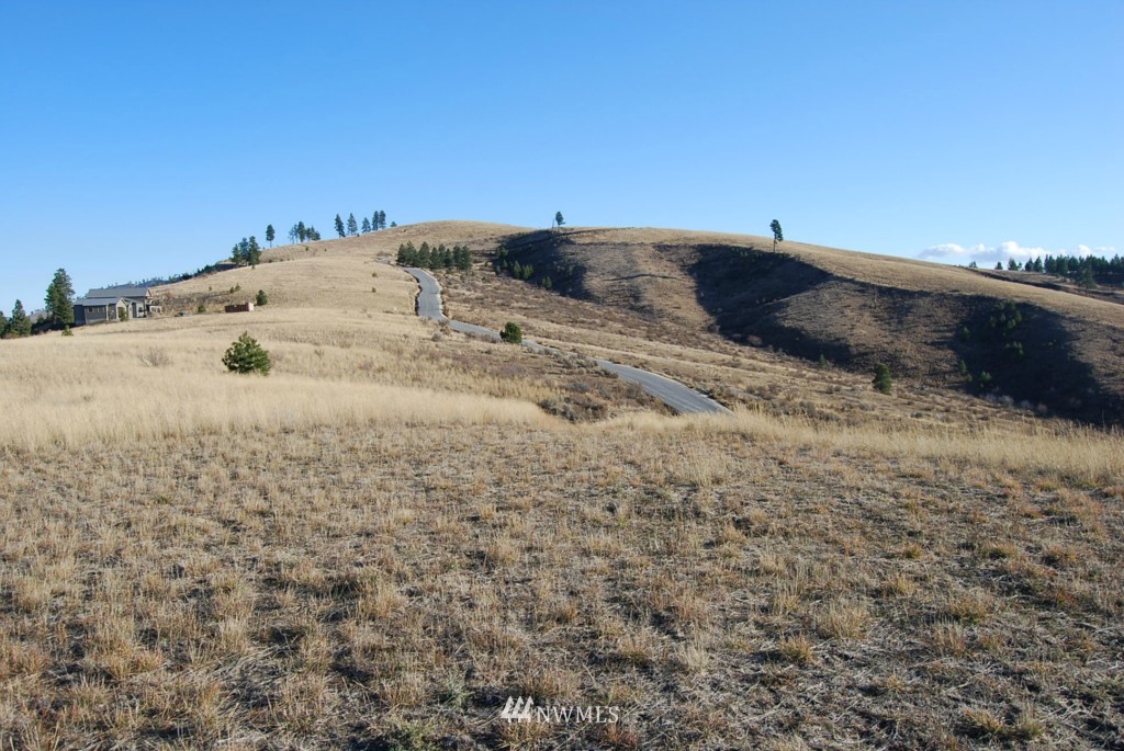 278 Hawks Ridge Road Chelan, WA 98816 - Photo 4 of 9 Gallery Image 4