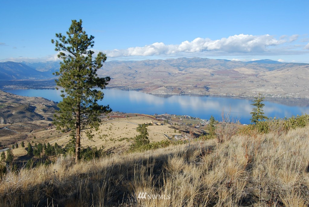 278 Hawks Ridge Road Chelan, WA 98816 - Photo 6 of 9 Gallery Image 6