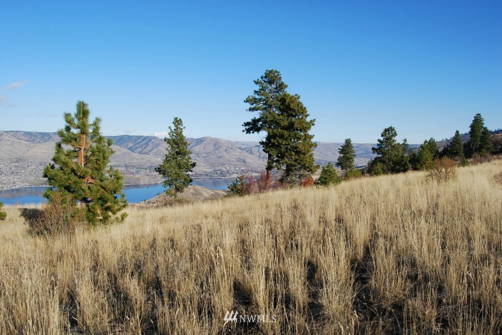 278 Hawks Ridge Road Chelan, WA 98816 - Photo 8 of 9 Gallery Image 8