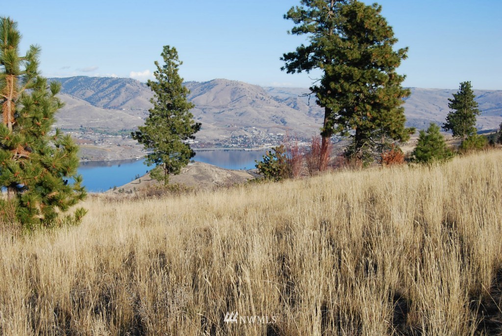 278 Hawks Ridge Road Chelan, WA 98816 - Photo 9 of 9 Gallery Image 9