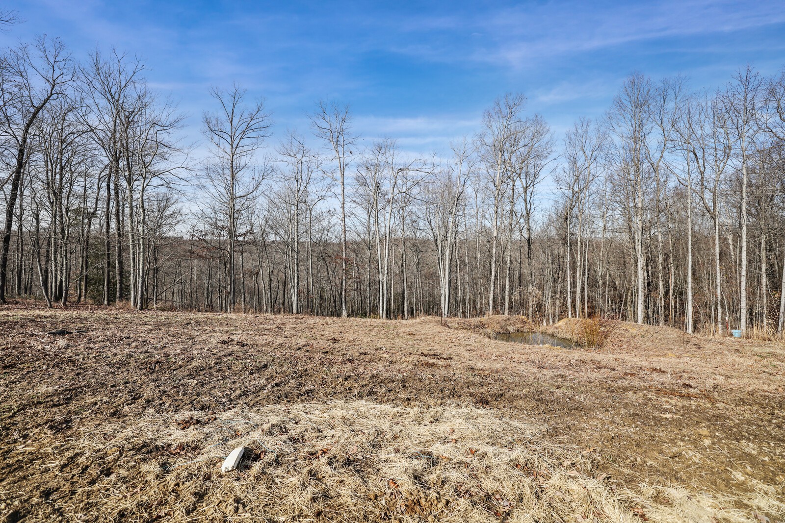 30195 White Oak Road Crawford, TN 38554 - Photo 43 of 54