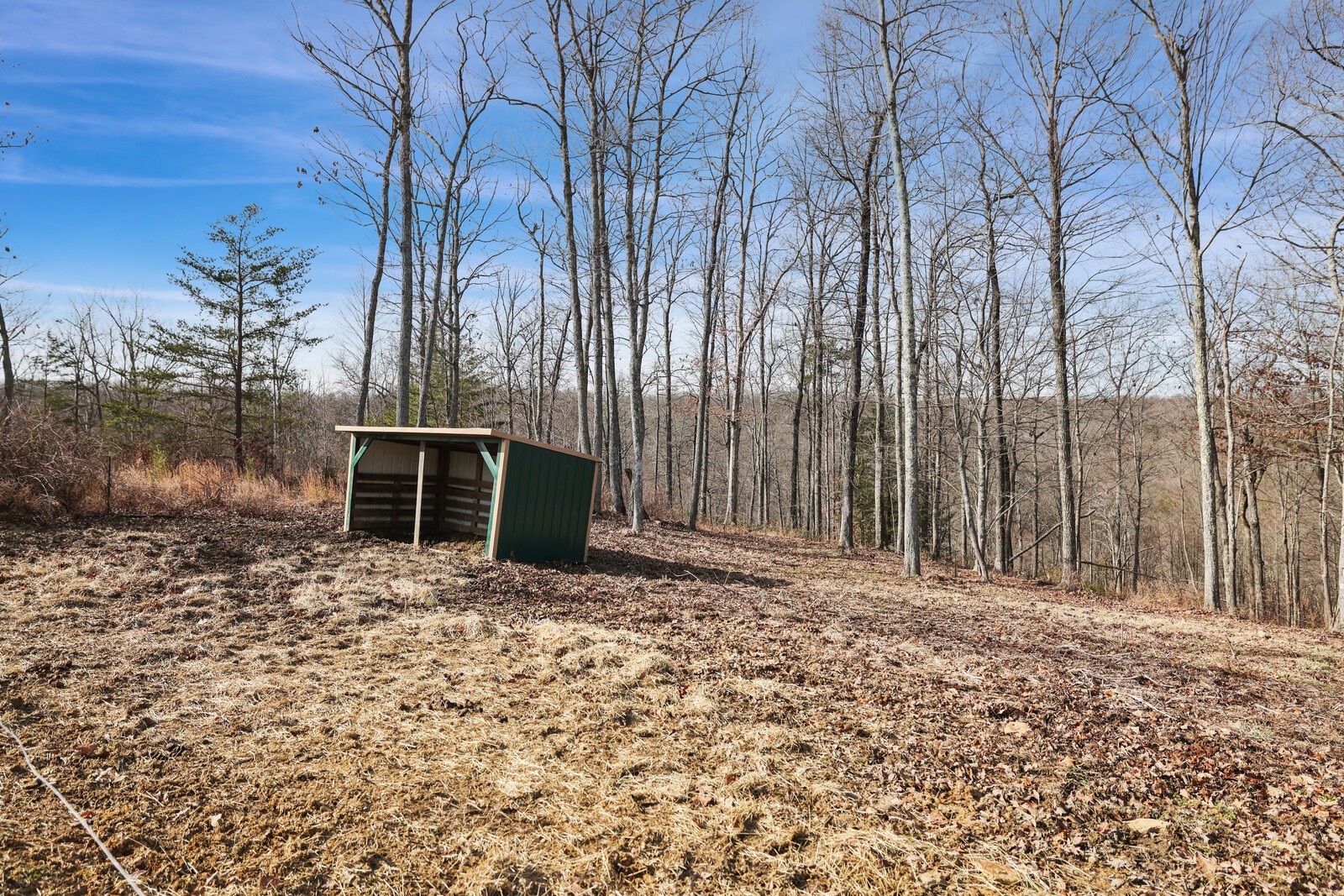 30195 White Oak Road Crawford, TN 38554 - Photo 44 of 54 a backyard of a house with lots of green space