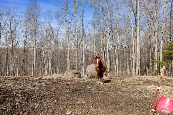 $279,000 | 30195 White Oak Road, Crawford, TN 38554