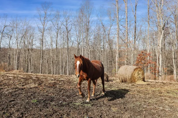 $279,000 | 30195 White Oak Road, Crawford, TN 38554