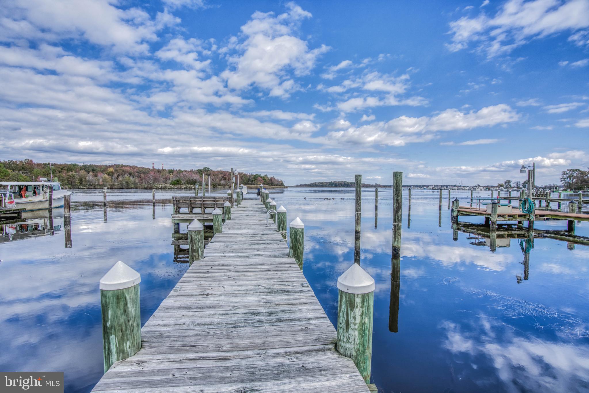 1328 Goose Neck Road Baltimore, MD 21220 - Photo 16 of 112