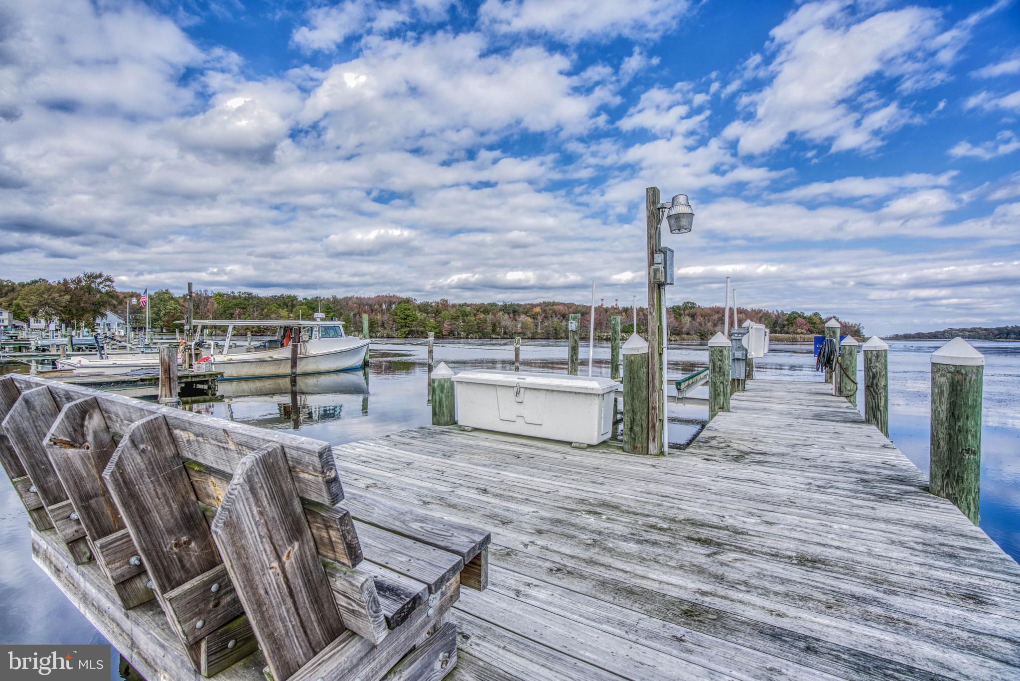 1328 Goose Neck Road Baltimore, MD 21220 - Photo 17 of 112
