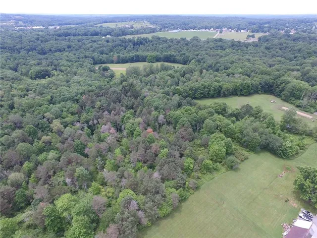 an aerial view of forest