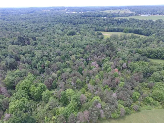 a view of a lush green field