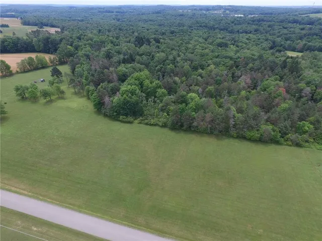 a view of a field with a mountain in the background