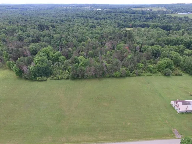 a view of a field with an ocean