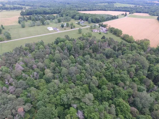 a view of a city from a yard