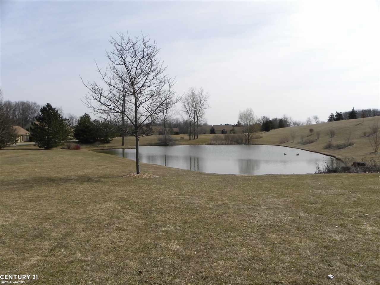 2179 Rochelle Park Drive, Unit 64 Rochester Hills, MI 48309 - Photo 24 of 25