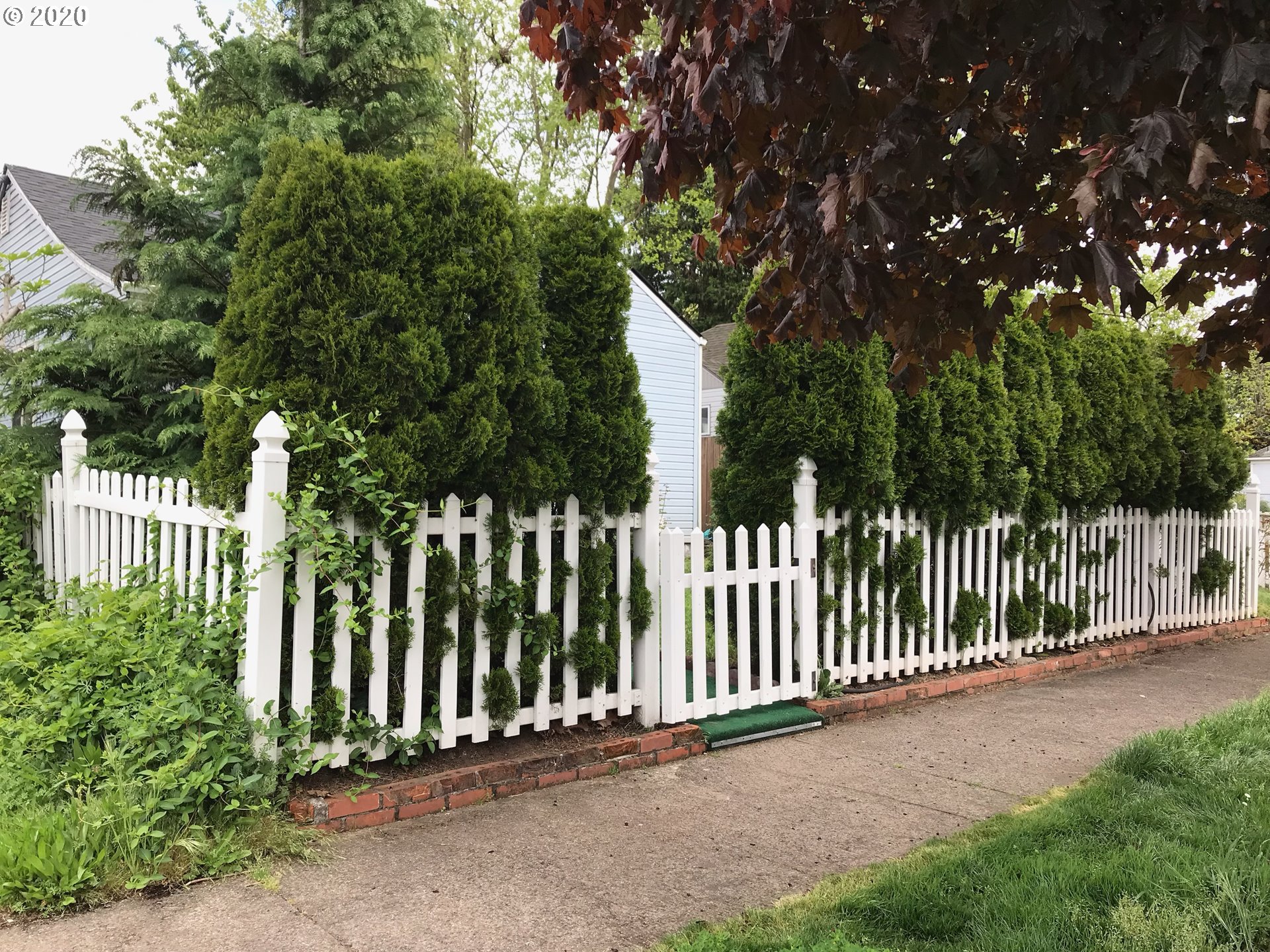 640 G Street Springfield, OR 97477 - Photo 21 of 25