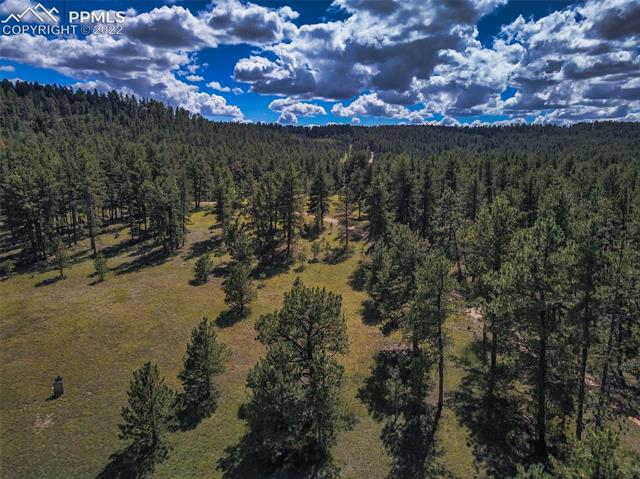 257 Sioux Road Florissant, CO 80816 - Photo 7 of 27 Gallery Image 7