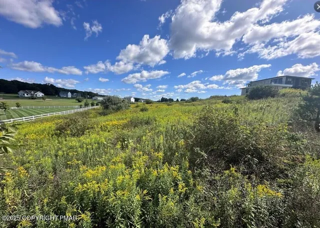 a view of a big yard of a house with a yard