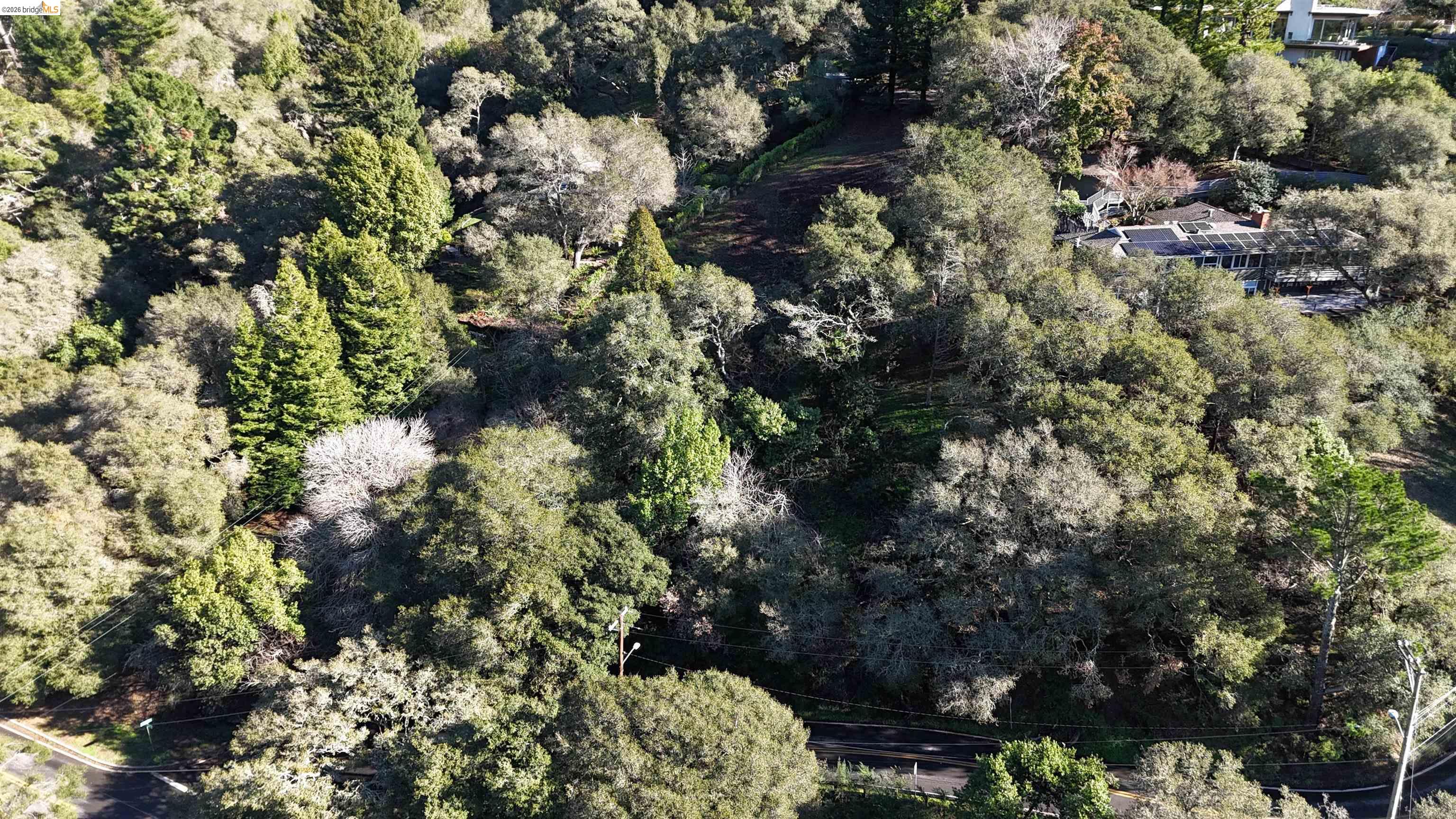 1488 Alvarado Road Berkeley, CA 94705 - Photo 3 of 8 Aerial view of property's location with a forest