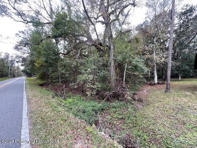 0 Mitchell Road Brooksville, FL 34601 - Photo 8 of 12