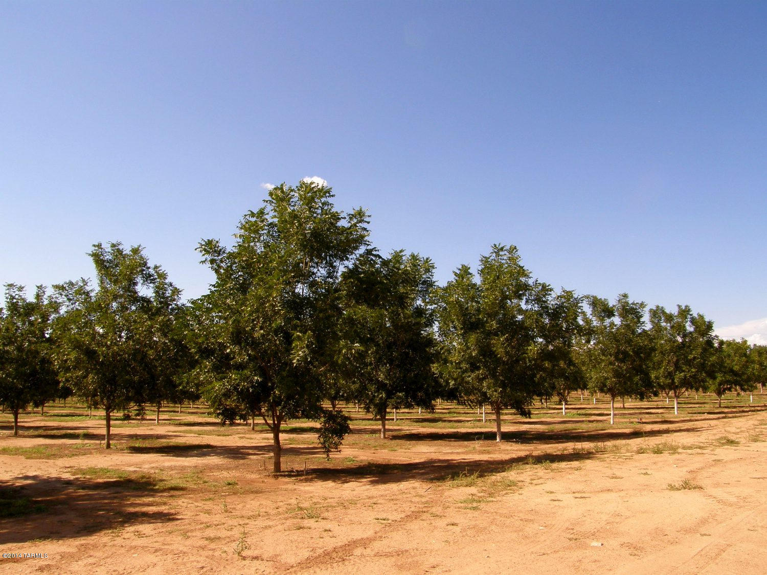 Tbd South Kansas Settlement Road Willcox, AZ 85643 - Photo 17 of 20