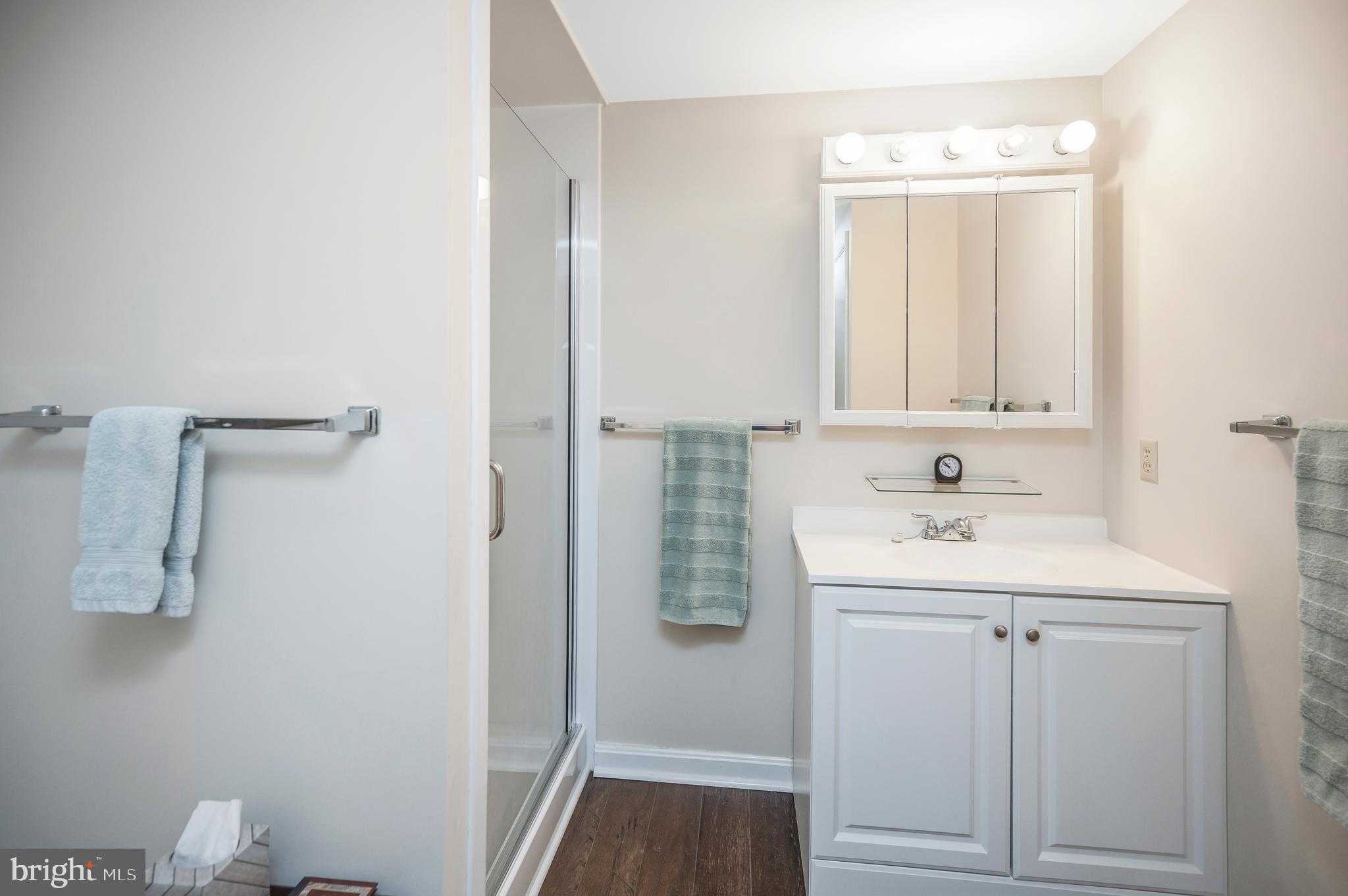 126 Greenspring Road Locust Grove, VA 22508 - Photo 50 of 90 lower bath