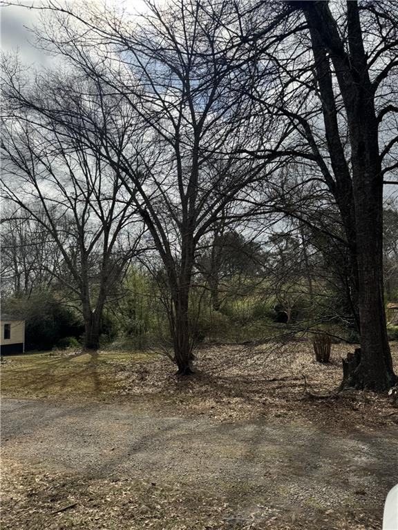 2457 Bold Springs Road Monroe, GA 30656 - Photo 5 of 23 a view of backyard with tree
