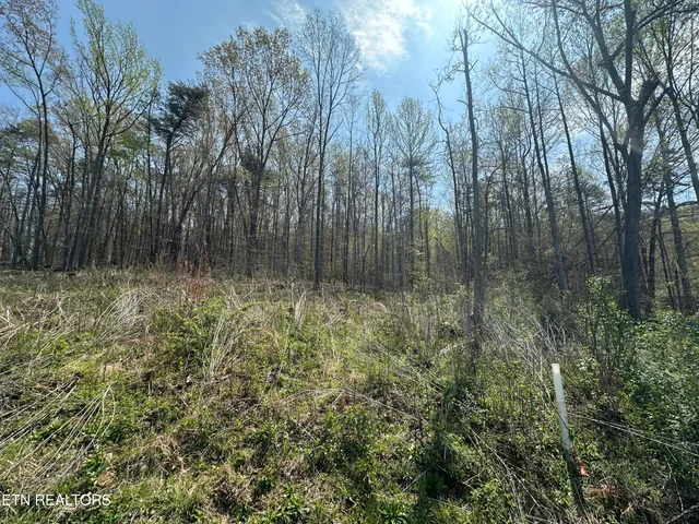 $75,000 | Douglas Lane, Jellico, TN 37762