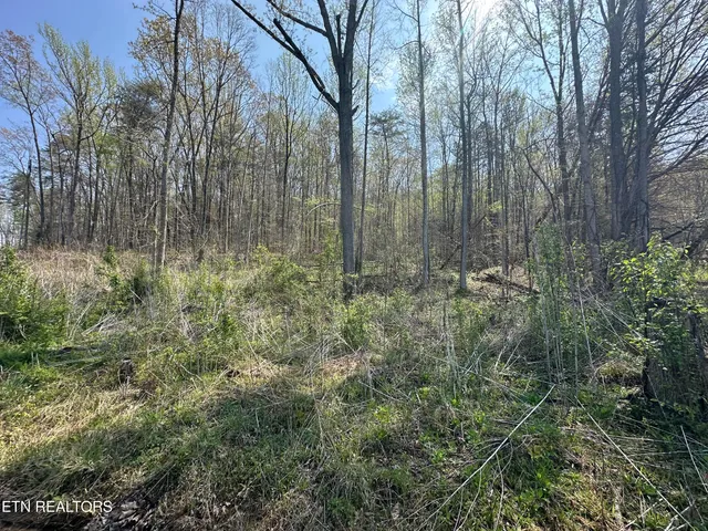 $75,000 | Douglas Lane, Jellico, TN 37762