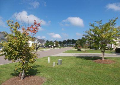 1222 River Rock Road Hanahan, SC 29410 - Photo 3 of 9 st