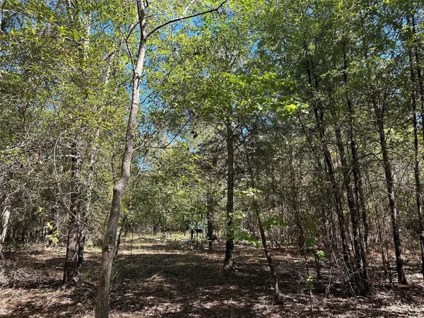 $139,900 | Tbd Somerset Trail, Point Blank, TX 77364