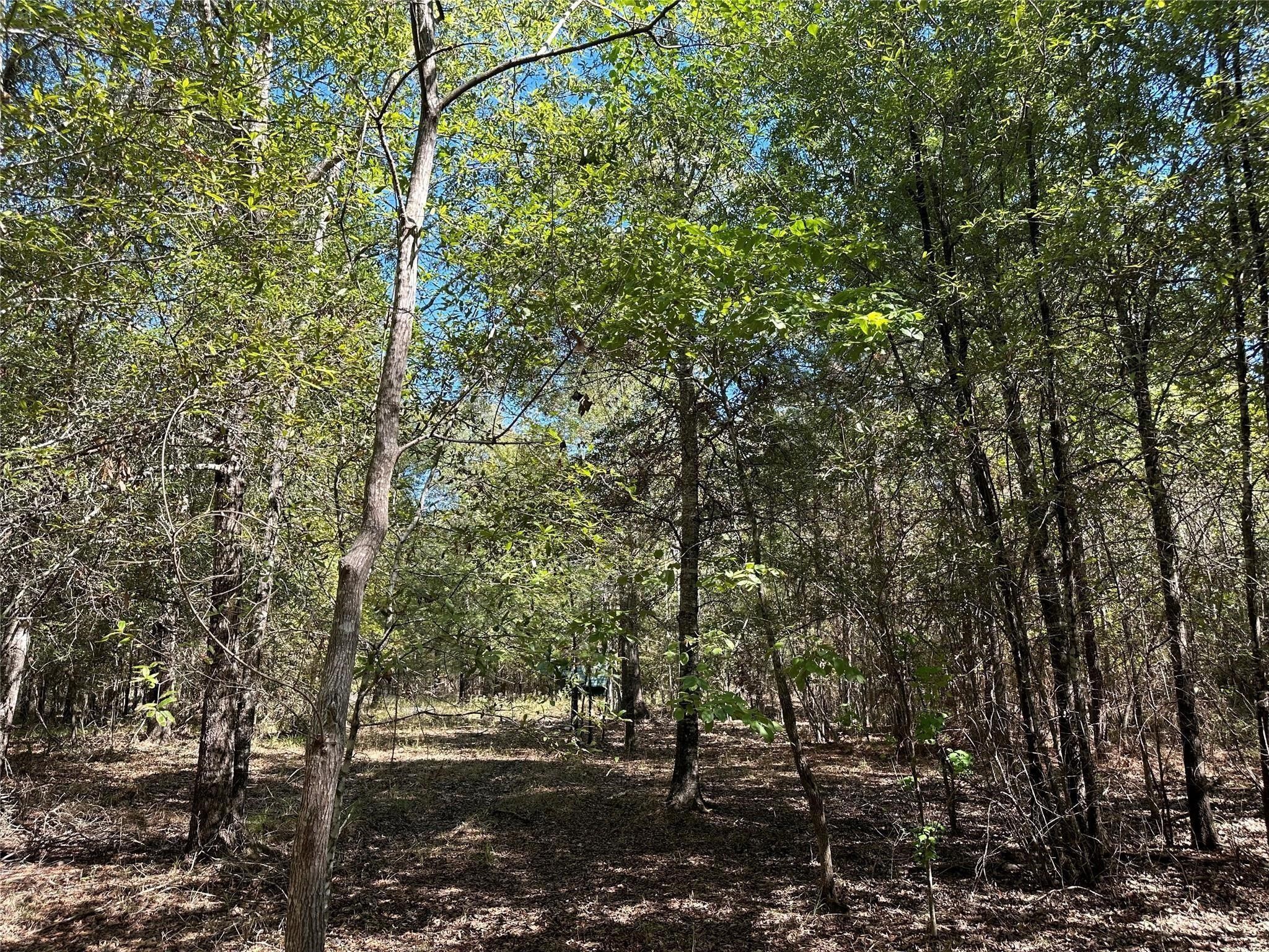 Tbd Somerset Trail Point Blank, TX 77364 - Photo 13 of 25 a view of outdoor space and yard