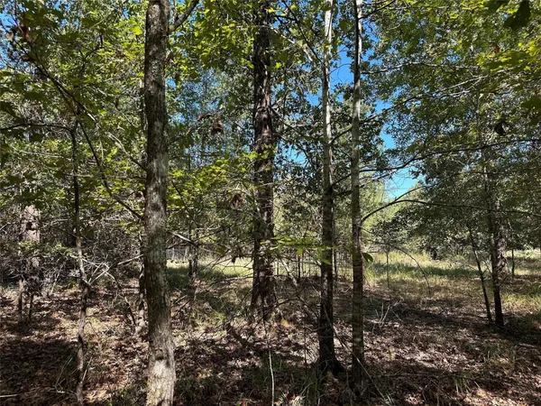 $139,900 | Tbd Somerset Trail, Point Blank, TX 77364