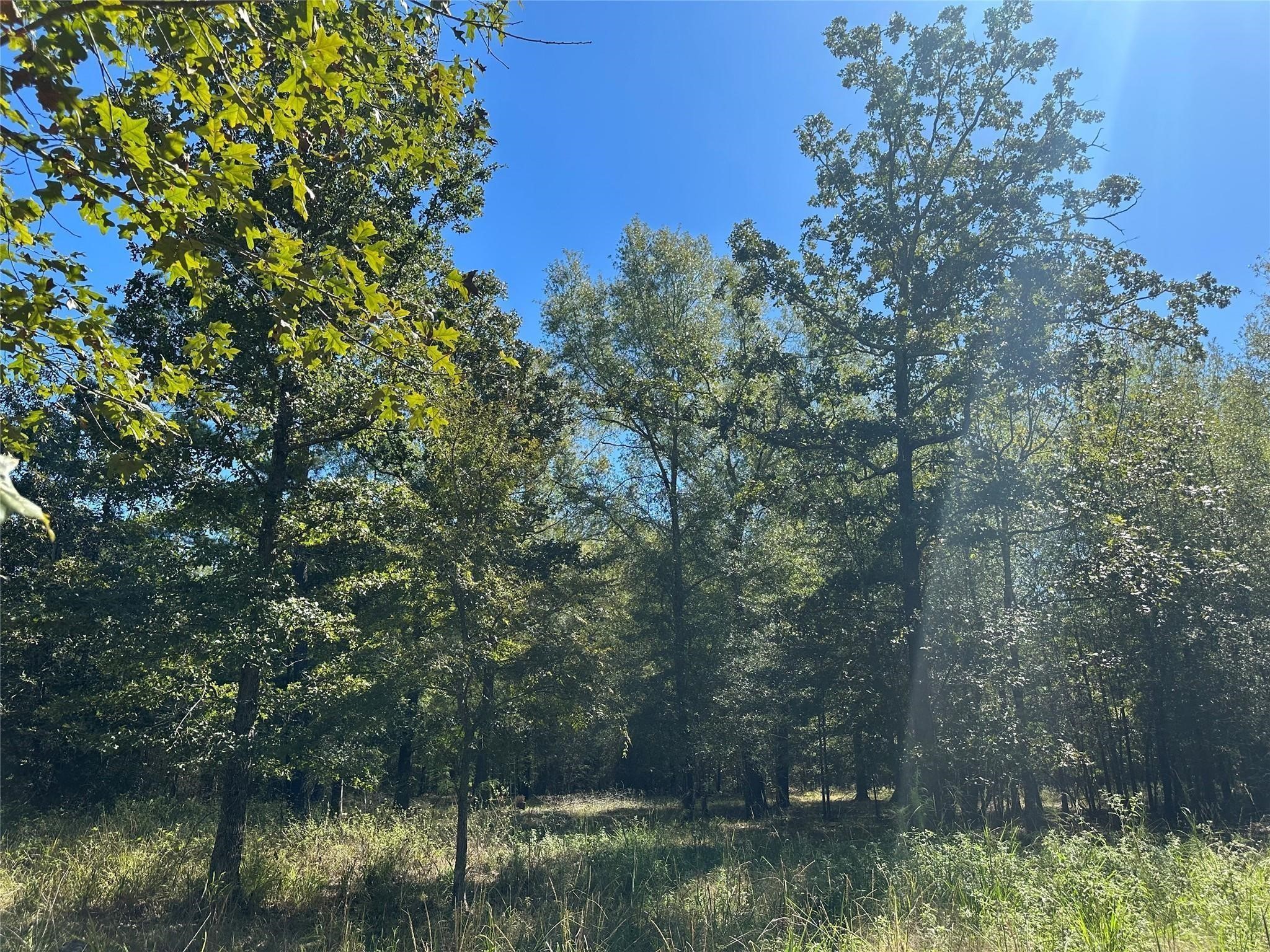 Tbd Somerset Trail Point Blank, TX 77364 - Photo 15 of 25 a view of lake