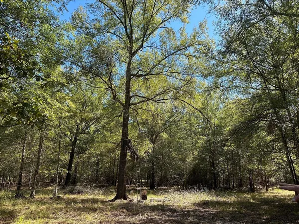 $139,900 | Tbd Somerset Trail, Point Blank, TX 77364