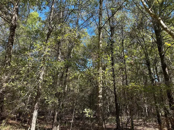 $139,900 | Tbd Somerset Trail, Point Blank, TX 77364