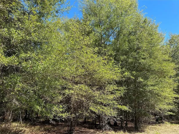 $139,900 | Tbd Somerset Trail, Point Blank, TX 77364