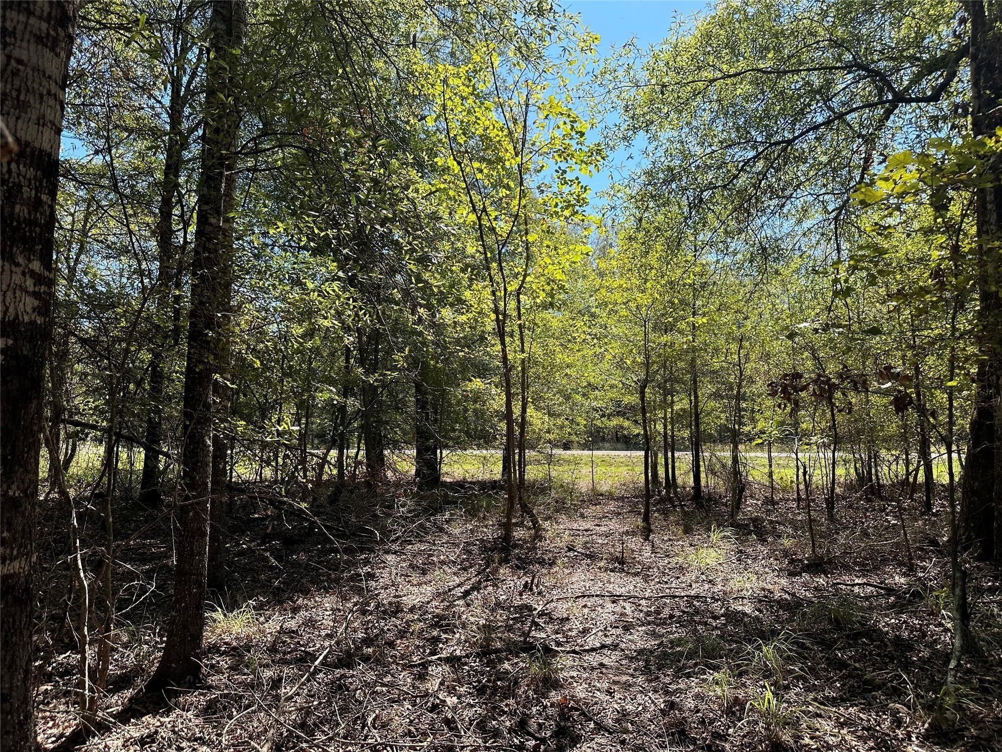 Tbd Somerset Trail Point Blank, TX 77364 - Photo 2 of 25 a view of outdoor space with lots of trees