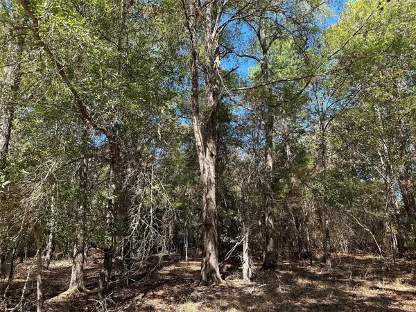 $139,900 | Tbd Somerset Trail, Point Blank, TX 77364