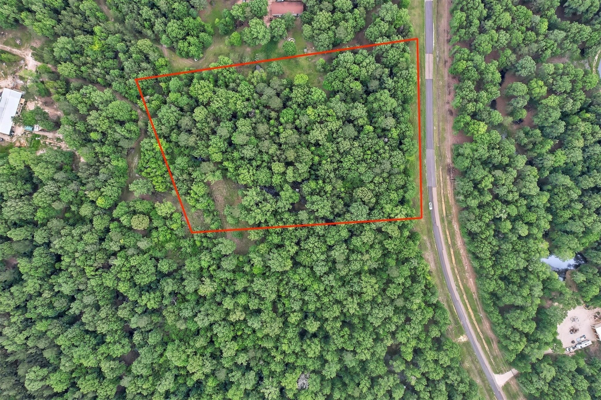 Tbd Somerset Trail Point Blank, TX 77364 - Photo 6 of 25 a close up of a plant in a garden