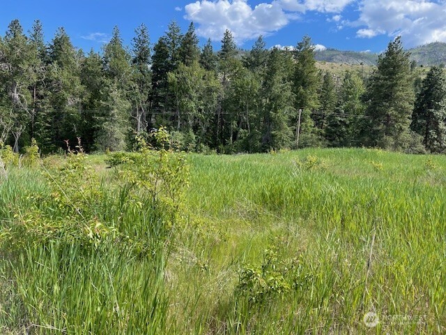 2 Black Canyon Road Carlton, WA 98814 - Photo 13 of 14