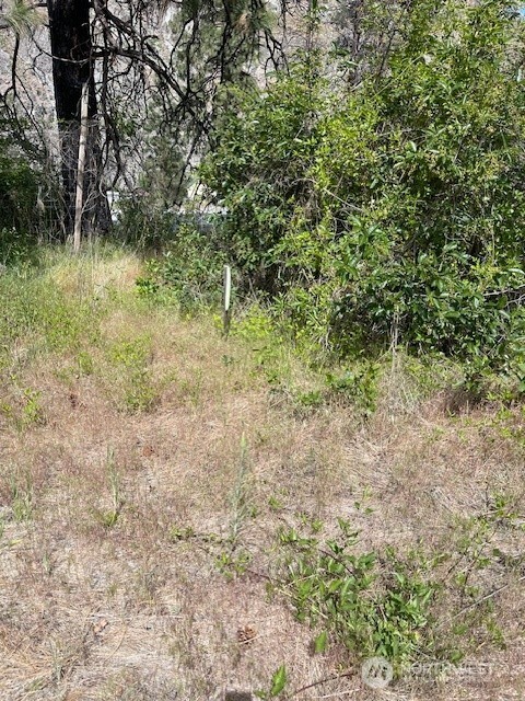 2 Black Canyon Road Carlton, WA 98814 - Photo 5 of 14
