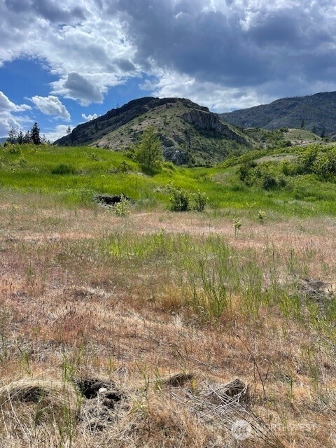 2 Black Canyon Road Carlton, WA 98814 - Photo 6 of 14