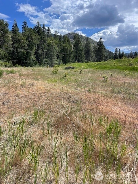2 Black Canyon Road Carlton, WA 98814 - Photo 9 of 14