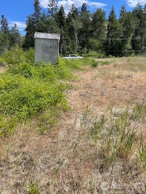 2 Black Canyon Road Carlton, WA 98814 - Photo 10 of 14