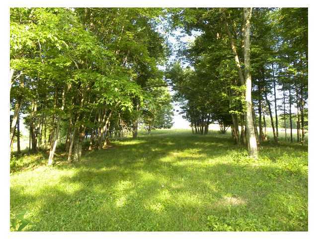 16717 Mush Run Road Athens, OH 45701 - Photo 20 of 25