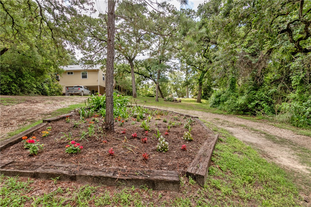 9997 Calhoun Road Bryan, TX 77808 - Photo 31 of 50 a view of a back yard