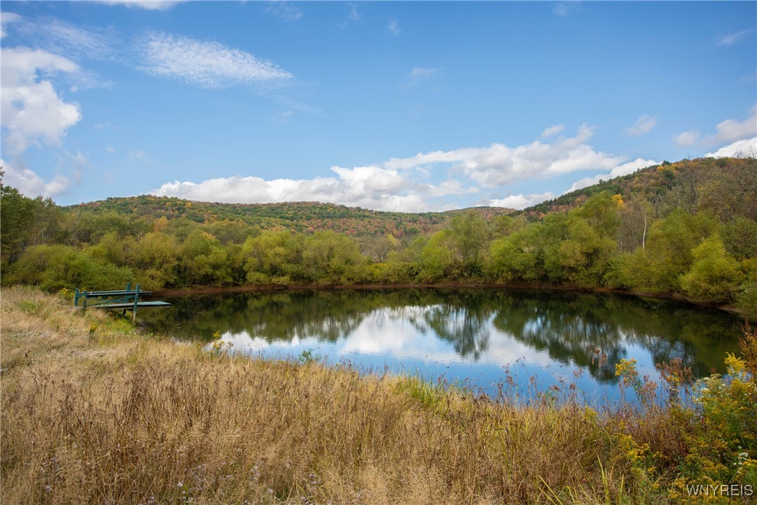 5029 Humphrey Road Great Valley, NY 14741 - Photo 43 of 47