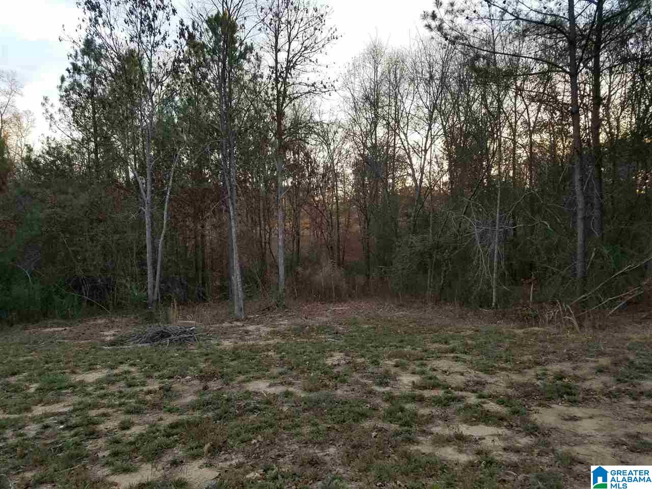 3663 Welcome Home Church Road Horton, AL 35980 - Photo 17 of 17