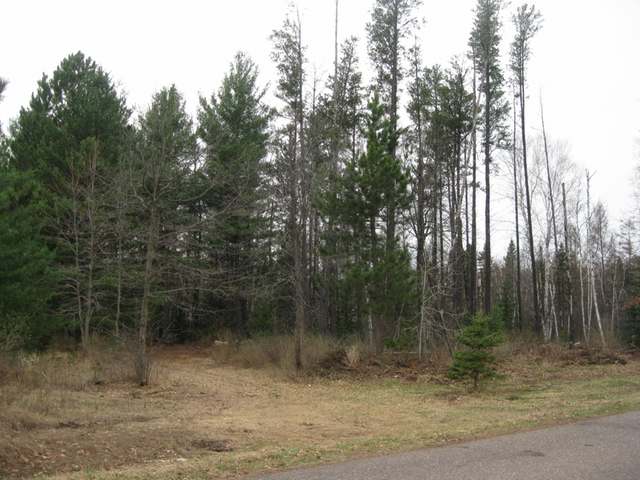 On Bay Mill Road Tomahawk, WI 54487 - Photo 1 of 5 Gallery Image 1